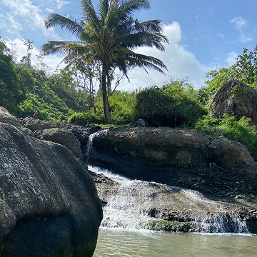 Waterfall and lush greenery